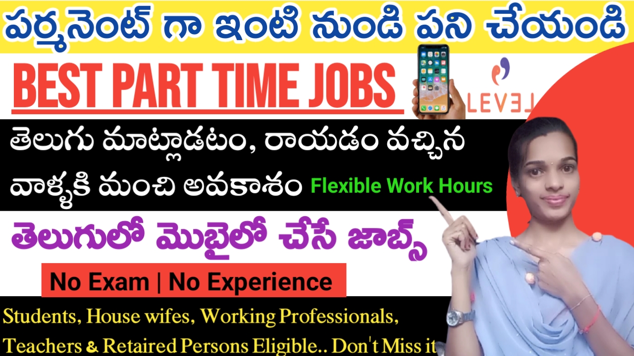 Level Innovation Permanent Work From Home Telugu Jobs 2023 Part Time